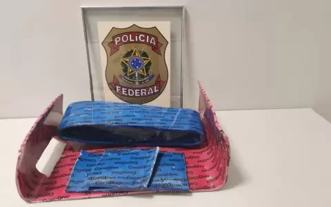 Detienen a madre e hijo con 8 kilos de coca�na en Brasil