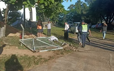 Conductora de bus escolar habr�a perdido el control de su rodado y caus� fatal accidente