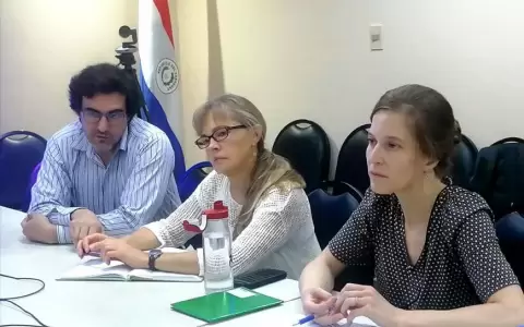 Paraguay registra el peor escenario de chikungunya registrado en Sudam�rica