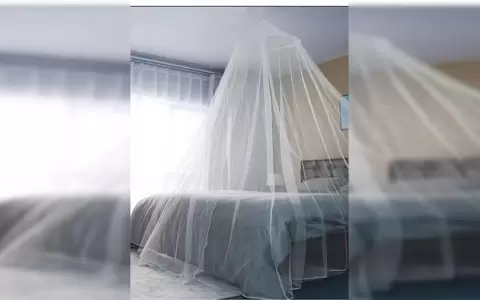 Instan a que enfermos de chikungunya utilicen mosquiteros