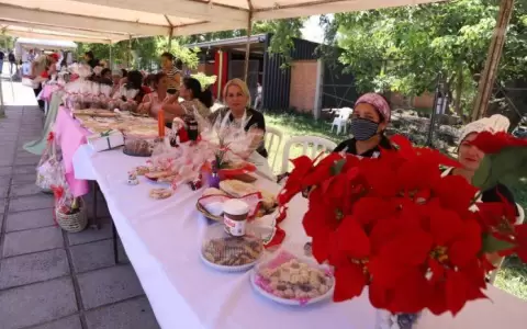 Para aprovechar: emprendedores realizan ferias este s�bado y domingo