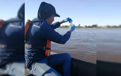 Mortandad de peces: "La teor�a principal es la falta de ox�geno"