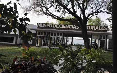 Corrientes, sede de encuentro internacional "Museos y patrimonio" en homenaje a Bonpland