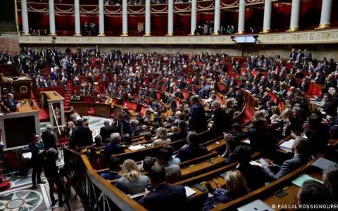 Macron impone reforma de las pensiones sin el voto de los diputados