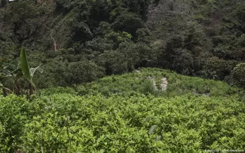 Denuncian nuevo atentado contra oleoducto en el oriente de Colombia