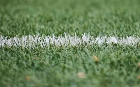 IFAB analizar� revolucionario cambio en el f�tbol