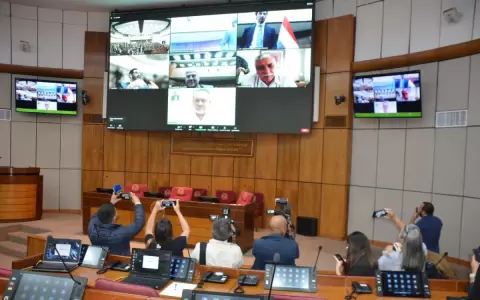 Luego de 5 meses, Lugo participa de forma virtual en la primera sesi�n del a�o en el Senado