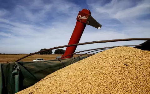 Triangulaci�n con soja paraguaya para burlar al Fisco argentino