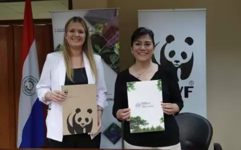 Infona y WWF cooperar�n en mapas de informaci�n catastral y plataforma de monitoreo