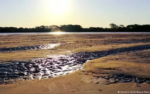 Am�rica Latina necesita "una nueva cultura del agua"