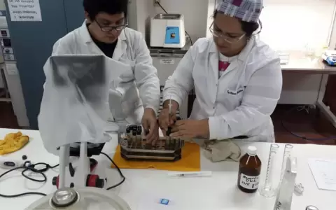 Congreso sanciona ley de la carrera del investigador cient�fico