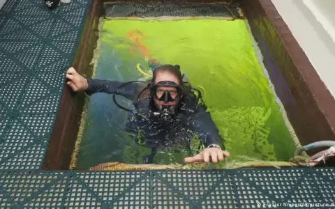 Investigador de Florida vivir� 100 d�as bajo el agua con fines cient�ficos y batir�a el r�cord