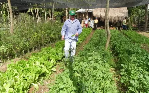 Horticultores buscan venta directa a supermercados sin intermediarios