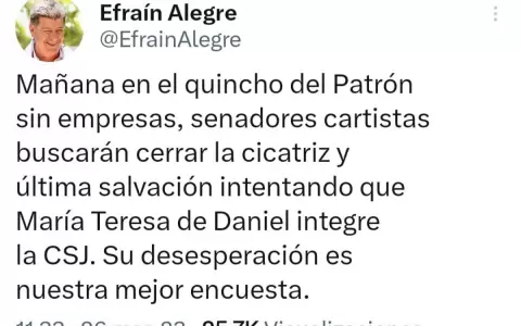 Alegre dice que cartistas buscar�n presionar para su ministro de la Corte