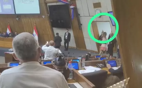 Show de la verg�enza: �Bachi� N��ez y Celeste Amarilla a los gritos en Diputados