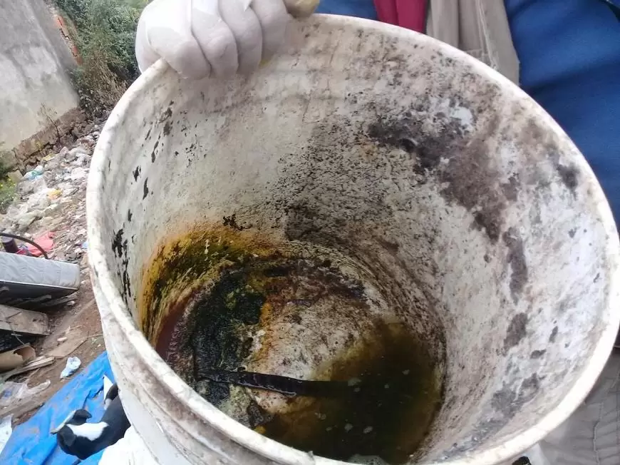 Fernando de la Mora: 95 % de las casas cuentan con criaderos de mosquitos