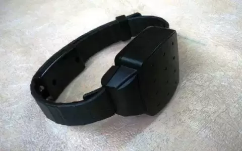 Piden que se cumpla el uso obligatorio de pulseras electr�nicas