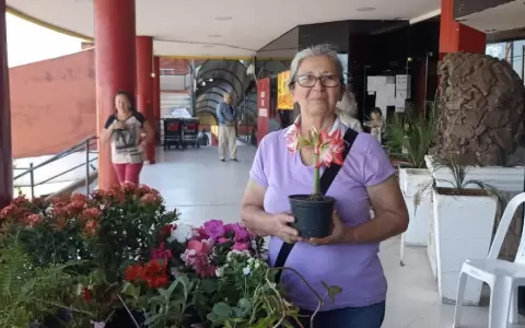 ?�Fin de semana del emprendedor� se realizar� en varios locales de supermercados del pa�s