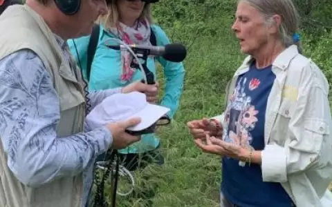 BBC env�a un equipo a Paraguay para interiorizarse mejor sobre los M�danos del Chaco
