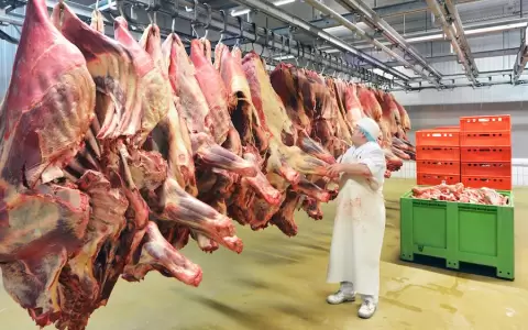 Sector ganadero de EE. UU. busca trabar importaci�n de carne paraguaya