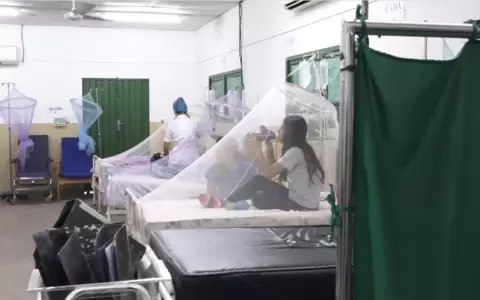 Chikungunya: la mayor�a de las mujeres son quienes sufren dolores articulares
