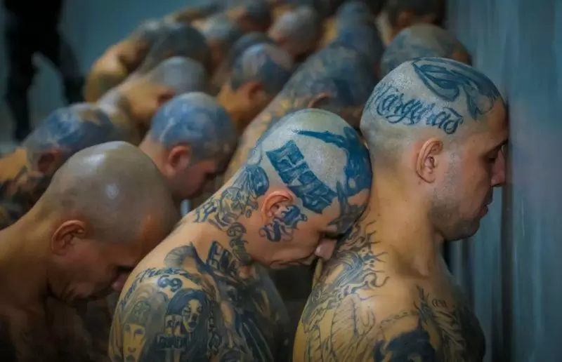 ¿Qué consecuencias tiene en América Latina la llegada de pandilleros que huyen de El Salvador por la guerra de Bukele contra las maras?