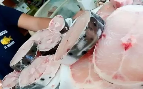 Pescader�a El Doradito, una variedad de especies para el deleite