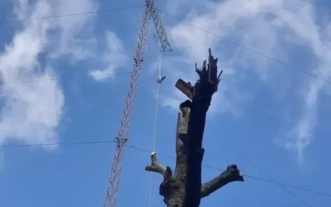 Villa Elisa: joven cay� de una antena de 13 metros