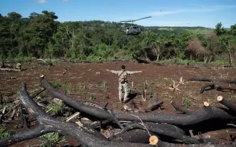 Frontera: Paraguay y Brasil inician la operaci�n �Nueva alianza 37�
