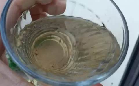 Criminal: detectan coliformes fecales en agua que toman miles de paraguayos