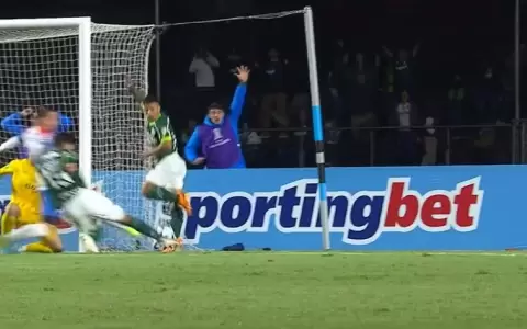 El pol�mico gol de Gustavo G�mez ante Cerro Porte�o