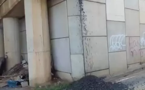 Fuga en el t�nel Semidei fue tras choque de un cami�n de gran porte, dice el MOPC