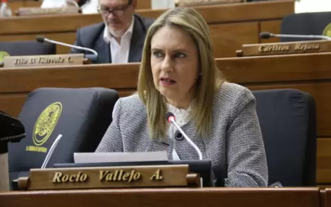 Diputada cuestiona que busquen salvar del juicio pol�tico a Jorge Bogar�n