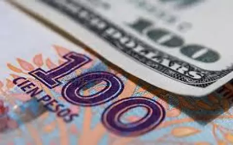 �C�mo afecta a la econom�a paraguaya el desplome del peso argentino?
