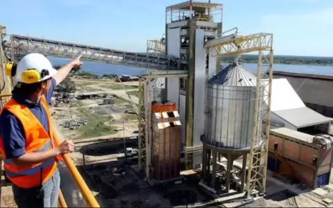 Aceiteras reportan notable aumento en sus ventas