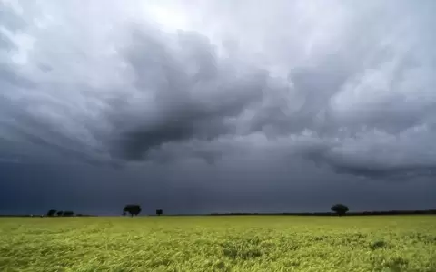 Lluvias inciden positivamente en la zafri�a