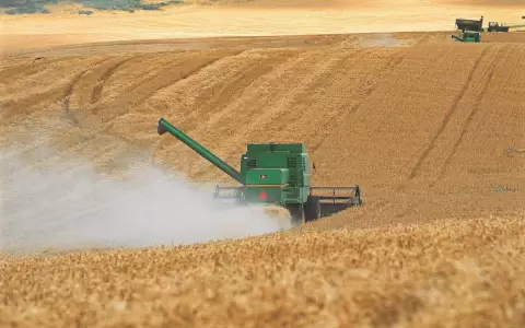 Argentina: nuevo tipo de cambio para alentar exportaciones agrarias