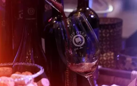 Expo Vino 2023:�ya hay fecha para el encuentro m�s esperado del a�o