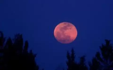 Luna rosa de abril 2023: cu�ndo y d�nde ver el fen�meno astron�mico