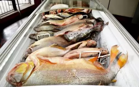 Pescadores de Remanso atender�n hasta la tarde de este Viernes Santo
