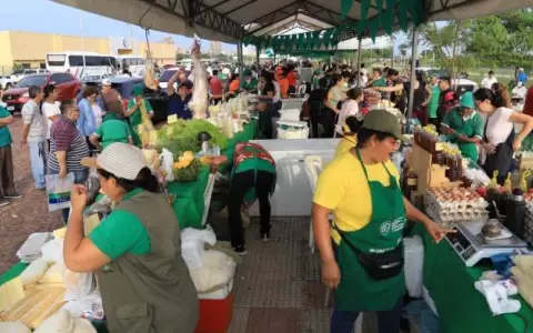Feria de Semana Santa arroj� ventas por G. 450 millones para productores