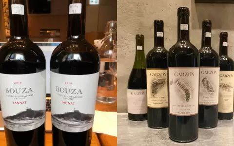Uruguay Wine celebra d�a del Tannat en Paraguay