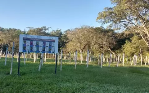 Promueven actividades ambientales en la zona de influencia de la ruta PY02