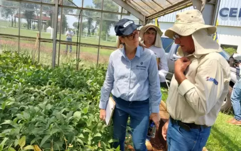 Soja en Paraguay recupera producci�n y logra las 9,4 millones de toneladas