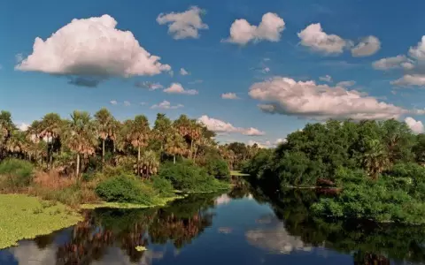 Buscan promover sostenibilidad del Pantanal paraguayo
