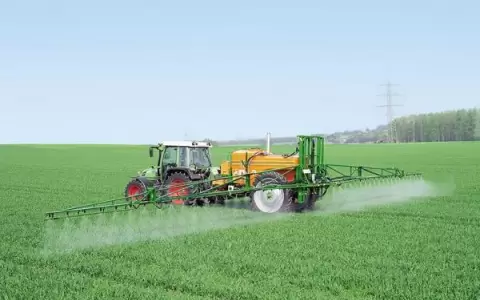 Productores ven repuntar su actividad econ�mica�