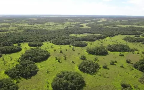 Parque Nacional Paso Bravo, mayor �rea protegida de Paraguay, est� bajo amenaza