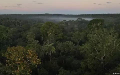 Diputados de Brasil aprueban proyecto que limita demarcaci�n de tierras ind�genas