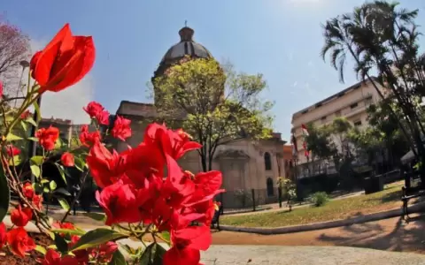 El clima estar� ideal para disfrutar del fin de semana largo