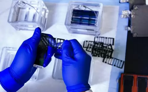 Llegan las vacunas personalizadas de ARNm para el c�ncer de p�ncreas, el tumor m�s letal